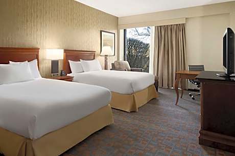Deluxe Double Room With Patio View