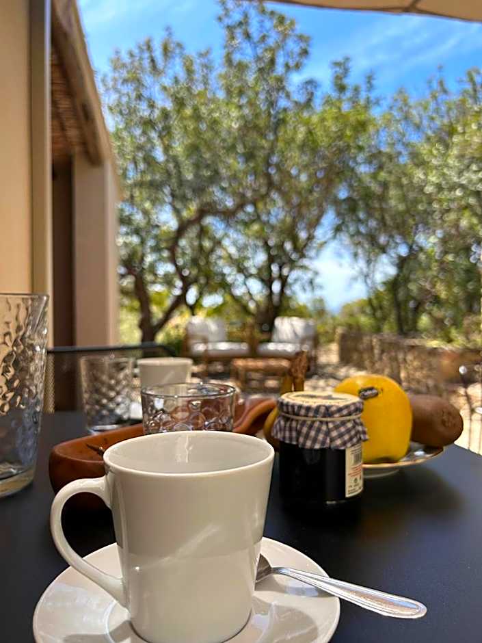 Sa Guardia de Ferricci