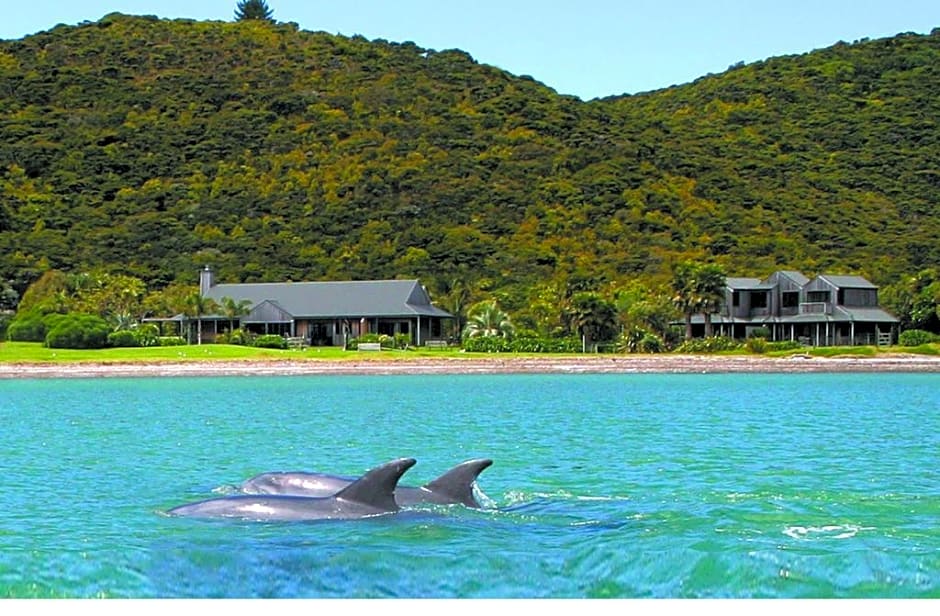 Pawhaoa Bay Lodge