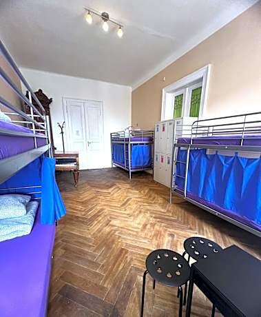 Bed in 12-Bed Mixed Dormitory Room