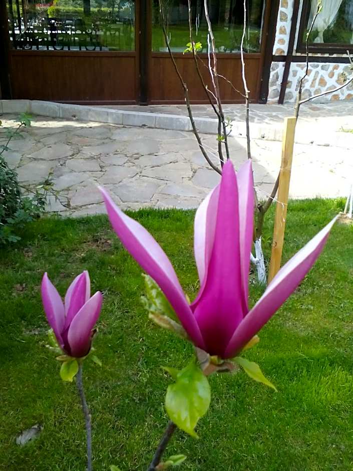 Хотел Свети Трифон