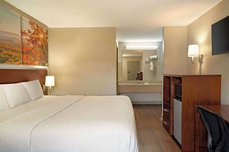 1 King Bed Non-Smoking