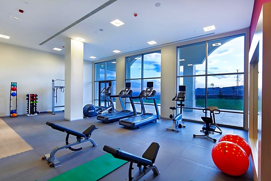 Hilton Garden Inn Mardin