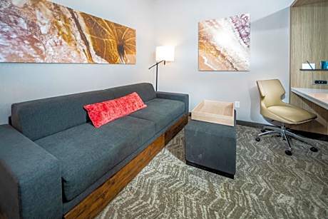 King Suite with Roll-In Shower - Mobility Accessible