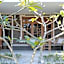 The Inn Possible