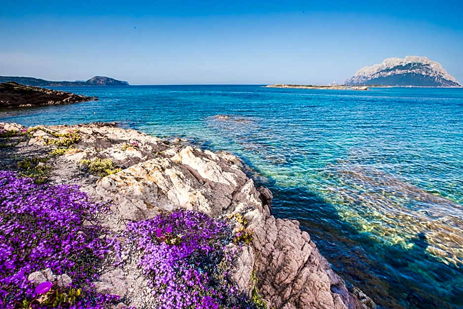 Hotel il faro di Molara