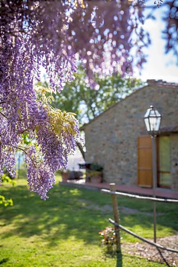 Le Cetinelle