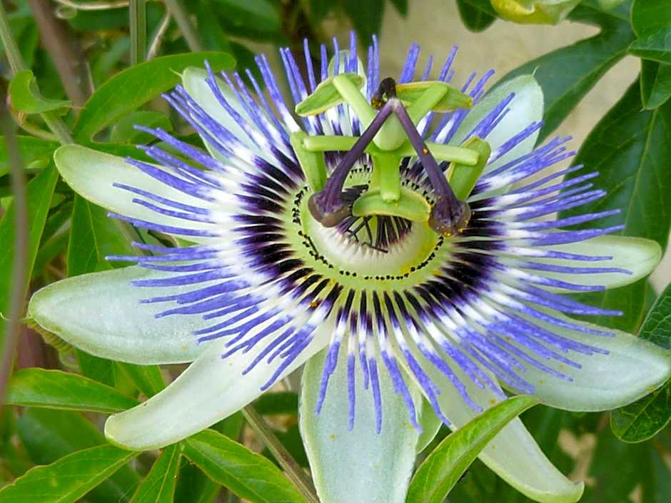 Manoir de Boisairault
