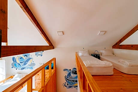 Bunk Bed in Female Dormitory Room