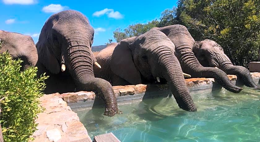 HillsNek Safari Camp