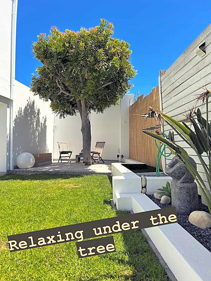 The Little Palm