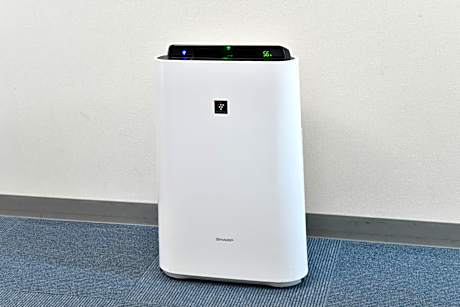 Single Room - Smoking