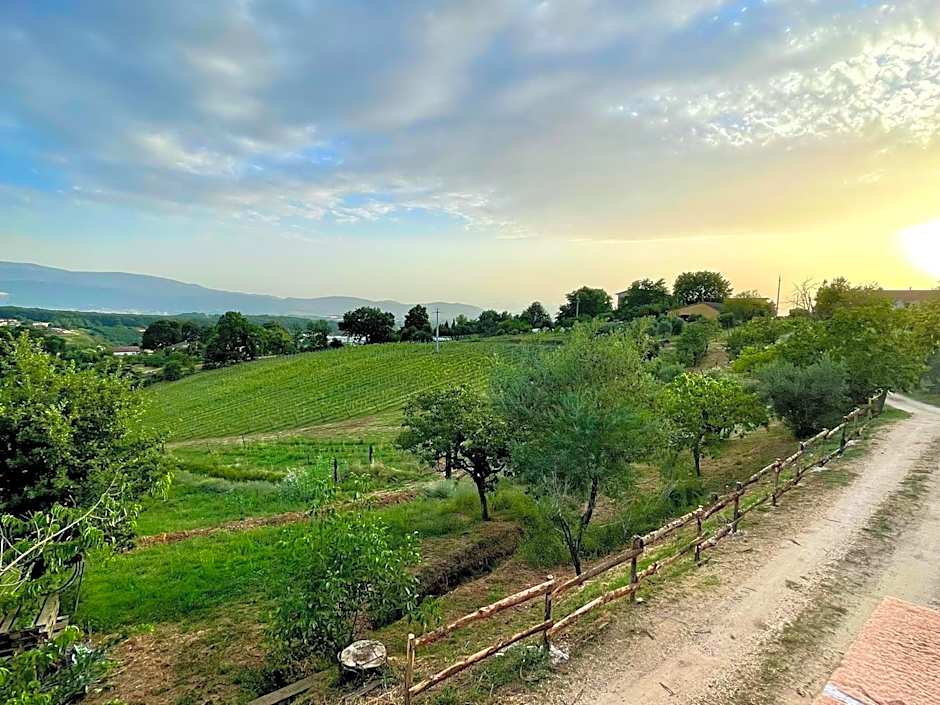 Donna Vittori - Borgo Agricolo