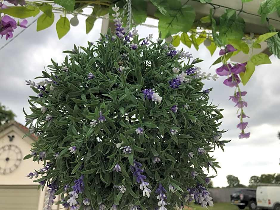 Old Thatch Bambers Green