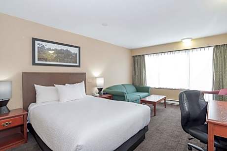 Standard Room, 1 Queen Bed, Sofa Bed