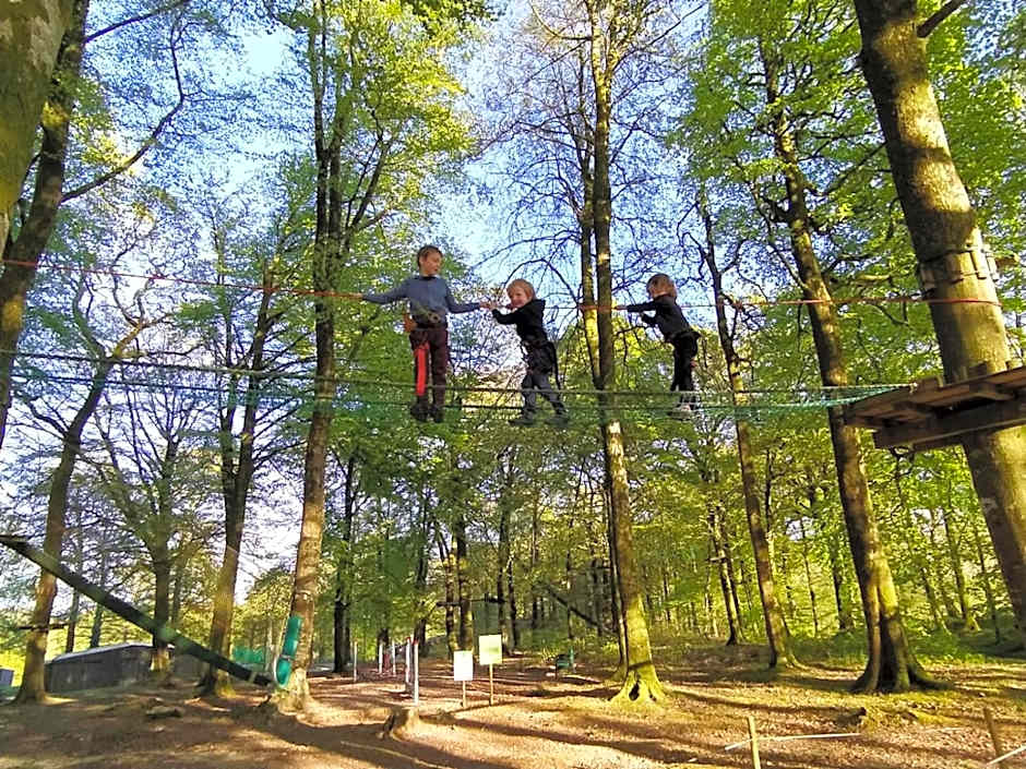 L'étape en forêt