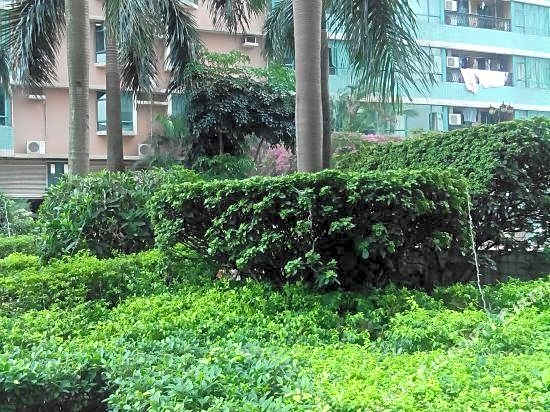 CBD Business Apartment