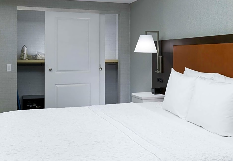 Hampton Inn By Hilton And Suites Memphis-Beale Street