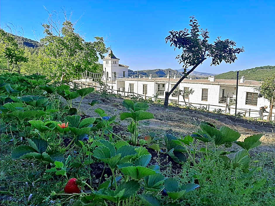 Hotel Apartamento Nueva Alcazaba