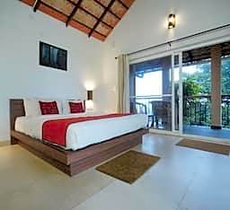 After the Rains - Rainforest Lodge