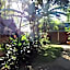 Hill Tribe Art House (Lahu & Akha Homestay)