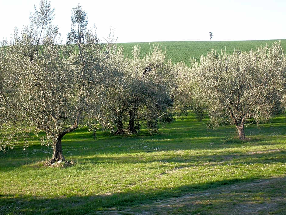 Locanda La Gozzetta