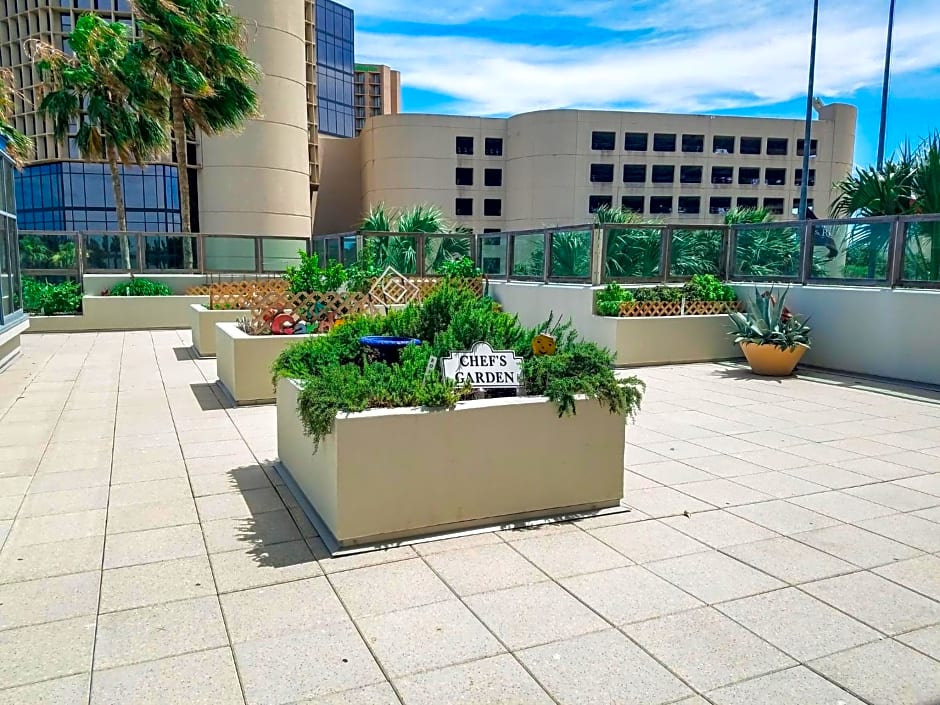 Omni Corpus Christi Hotel