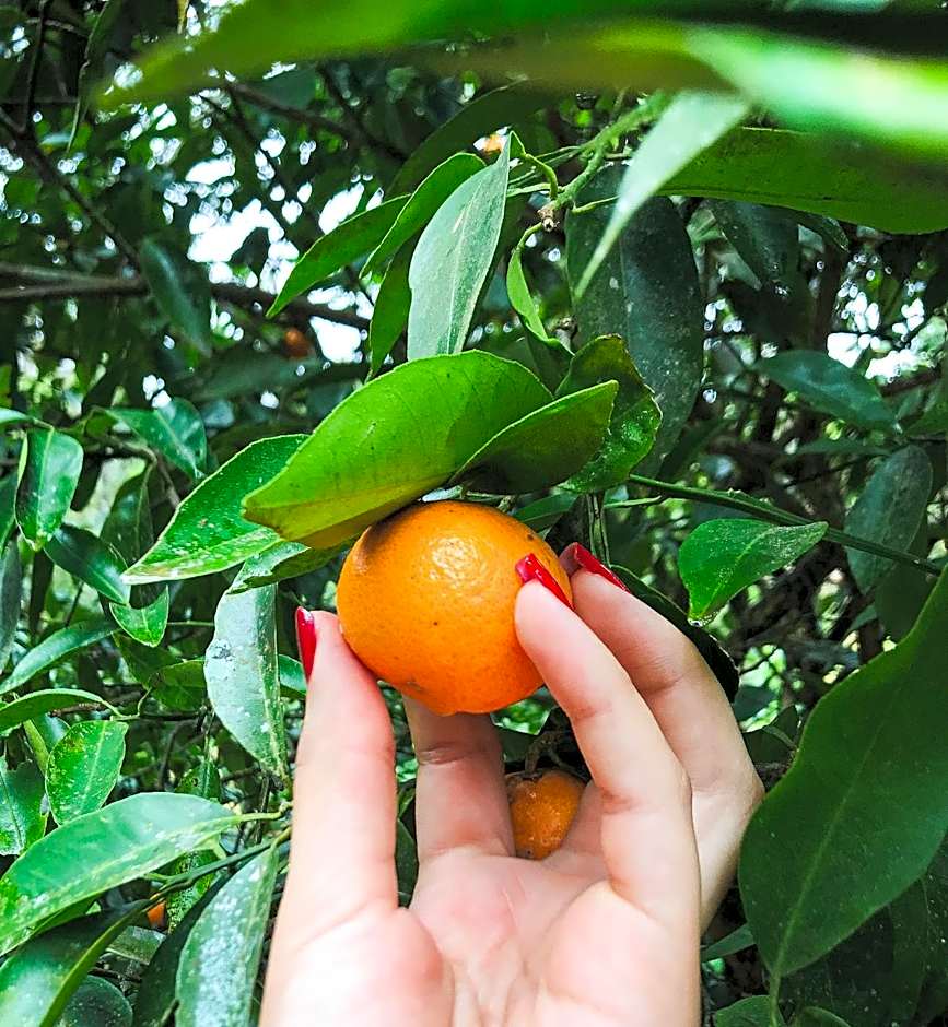 Pousada Quinta das Nascentes