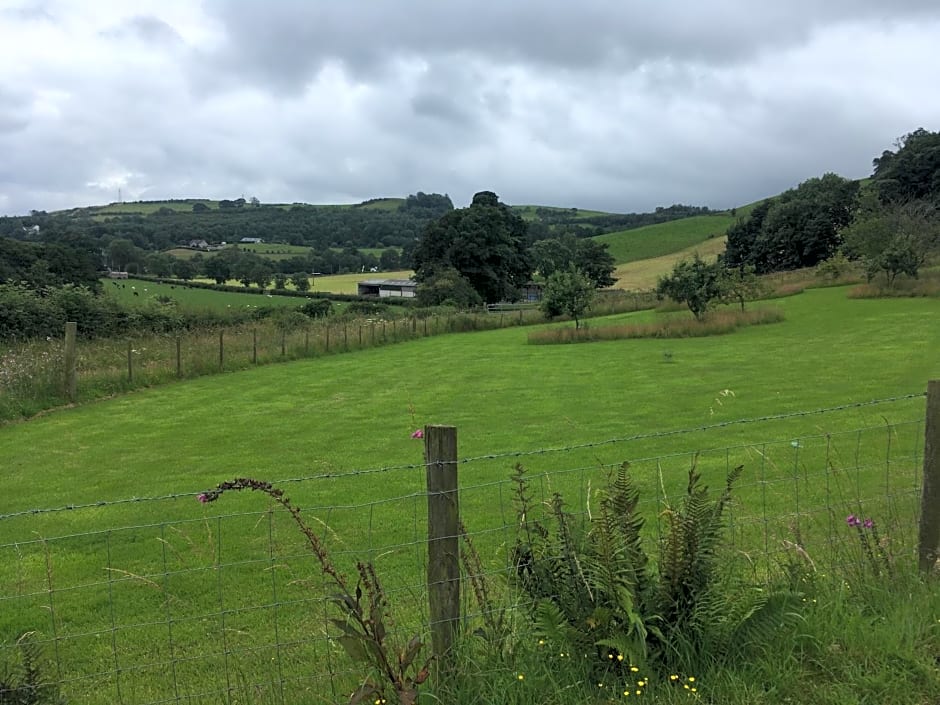 Jacquie's B&B -Dumfries-Room with a view