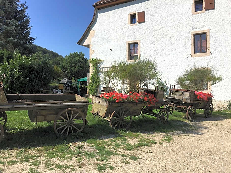 Chez Dodo 2534 Orvin Le Foncet