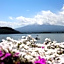 Shiki No Yado Mt. Fuji