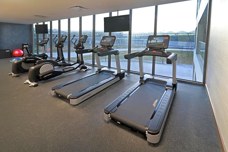 Holiday Inn & Suites - Mexico Felipe Angeles Airport By IHG