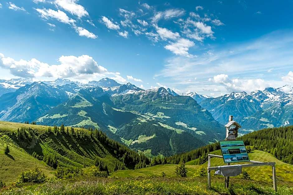 Alphotel Biel-Kinzig - Access by Cable Car only!