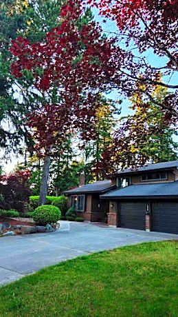Luxury house with pleasure of life