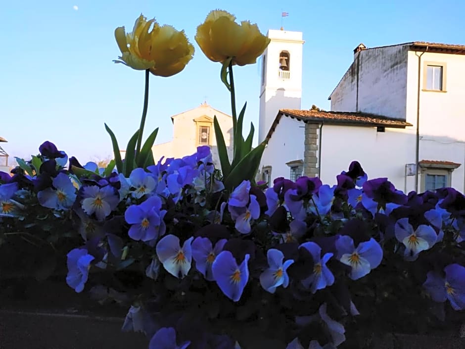 B&B "La Pieve" - Locanda per Viandanti