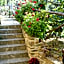 Casale San Martino