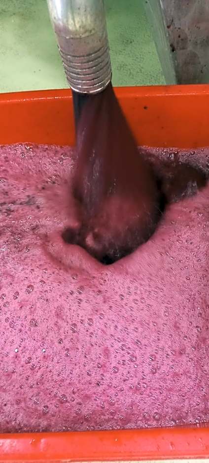 1929 Wine Food Relax Agriturismo