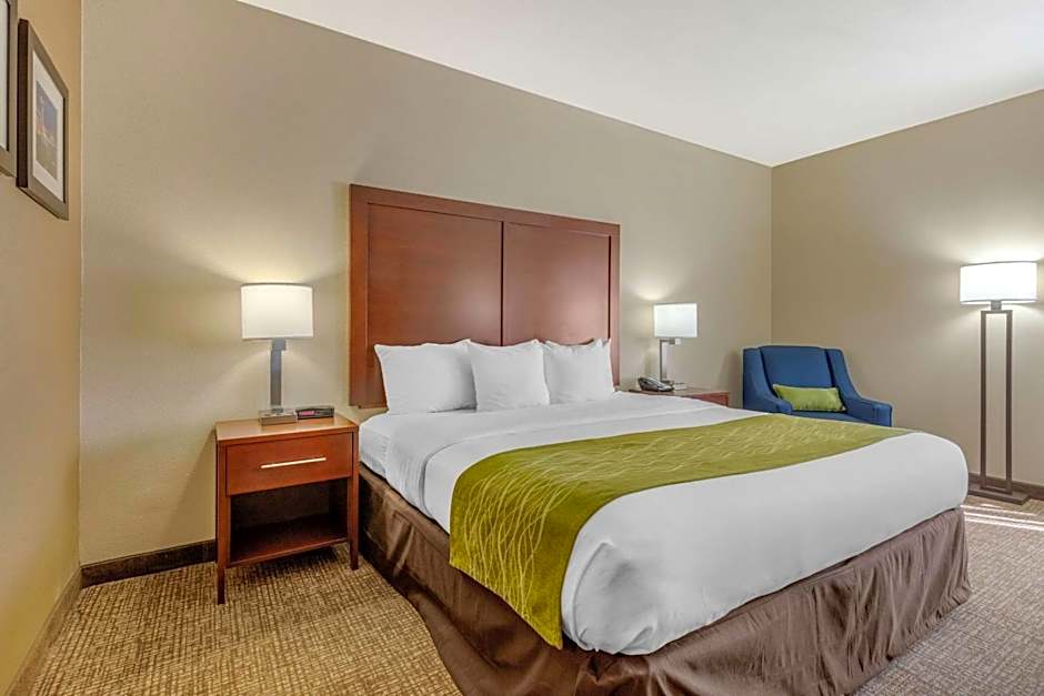 Comfort Inn Lenoir City-Knoxville