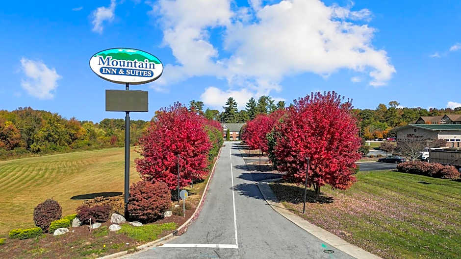 Mountain Inn & Suites Flat Rock