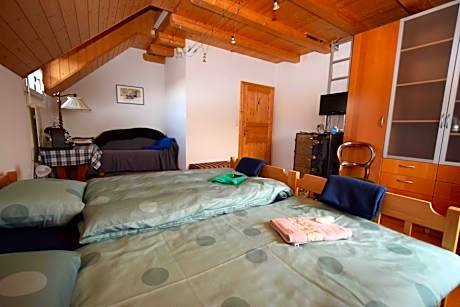 Standard Twin Room with Shared Bathroom