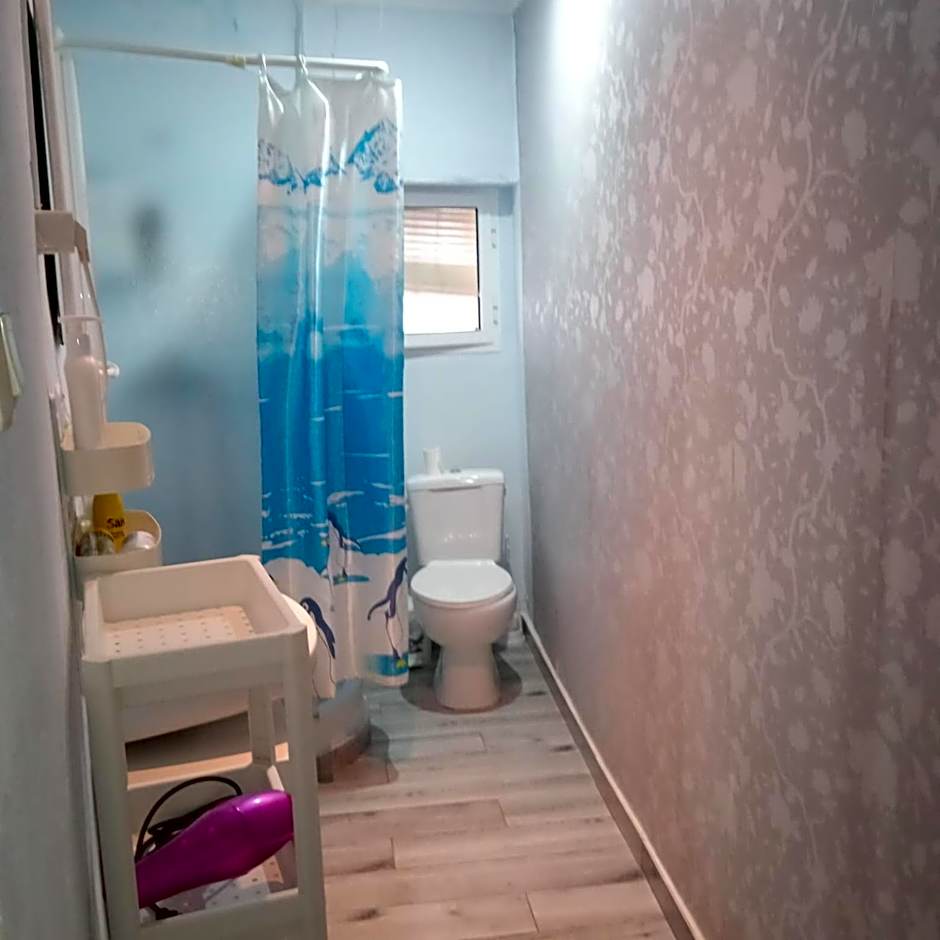 Alojamiento Magallanes