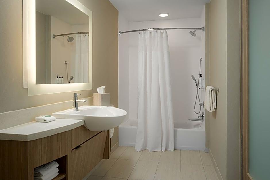 SpringHill Suites by Marriott Tampa Downtown
