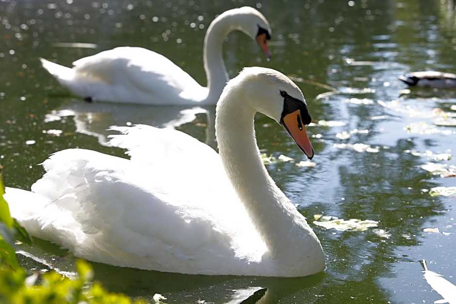 Parador Casa Da Insua