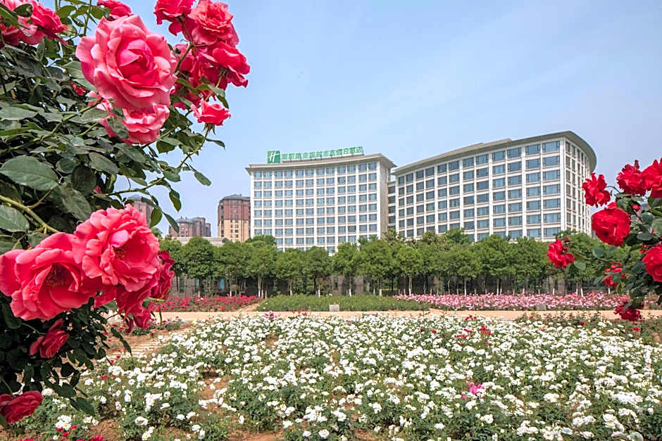 Holiday Inn Nanyang By IHG