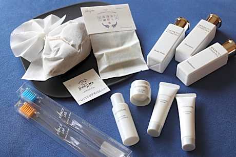 Deluxe Twin Room - Non-Smoking