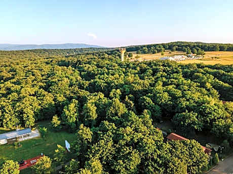 Arsenal Park Transilvania