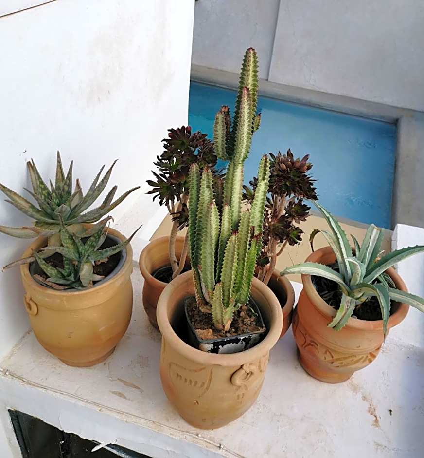 Riad Bab aylen - Piscine Roof Top chauffée