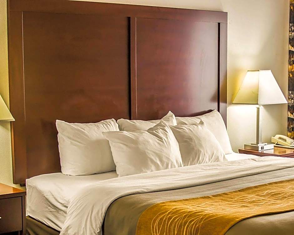 Comfort Inn Birch Run - Frankenmuth