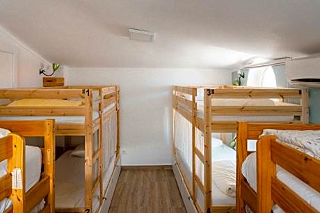 Bunk Bed in Mixed Dormitory Room