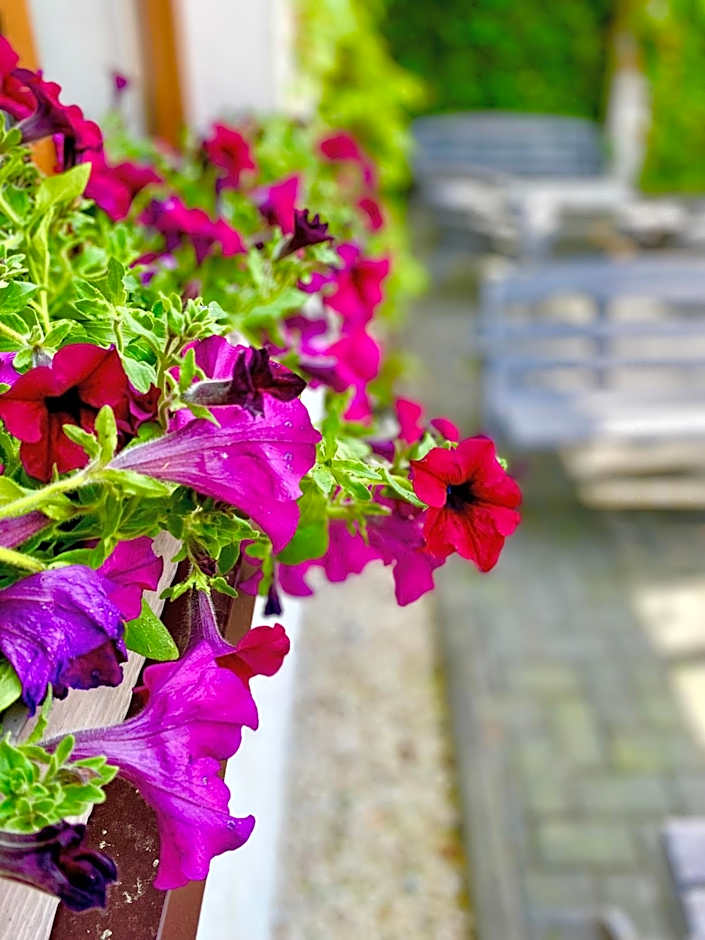 Old Tree Home & Restaurant